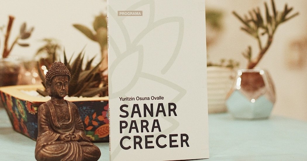 Banner con temática sobre Sanar para Crecer
